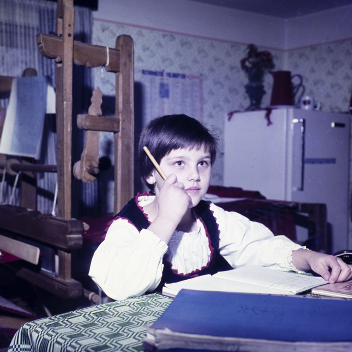 minerva_dn_1978_2359_C.A.P_lutita_006