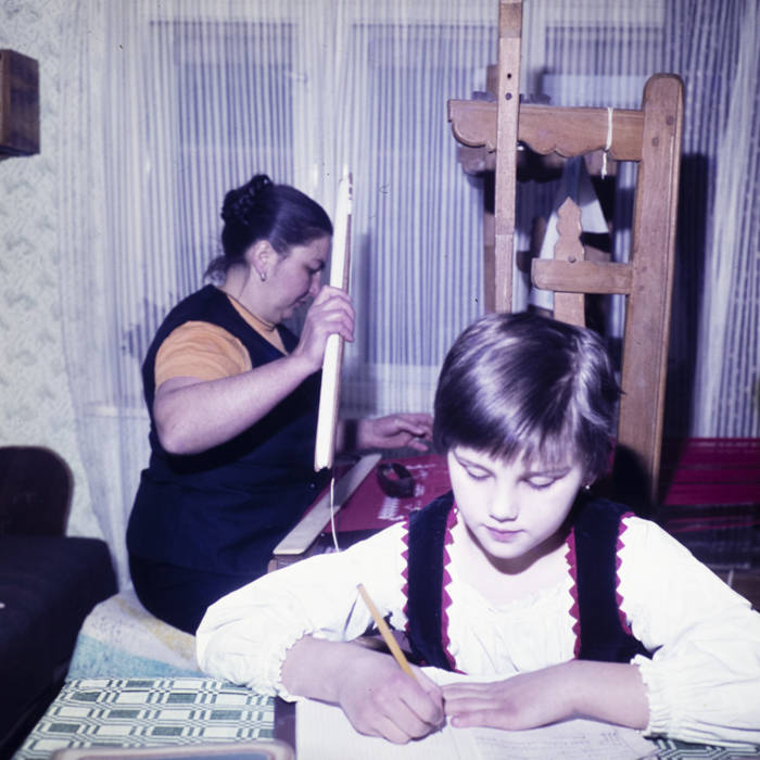 minerva_dn_1978_2359_C.A.P_lutita_008