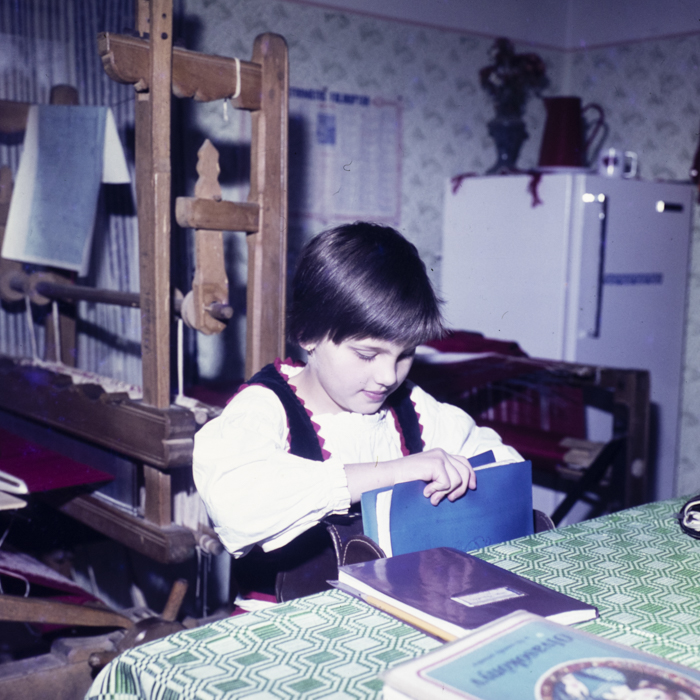 minerva_dn_1978_2359_C.A.P_lutita_009