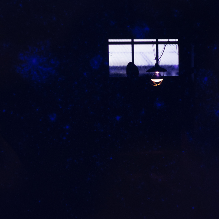 minerva_dn_1978_2359_C.A.P_lutita_010