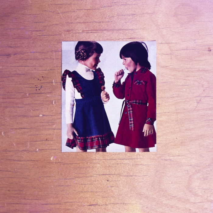 minerva_dn_1978_2362_reproduceri_006