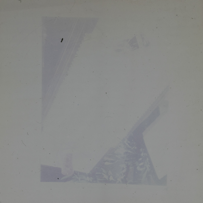 minerva_dn_1978_2369_reproduceri_006