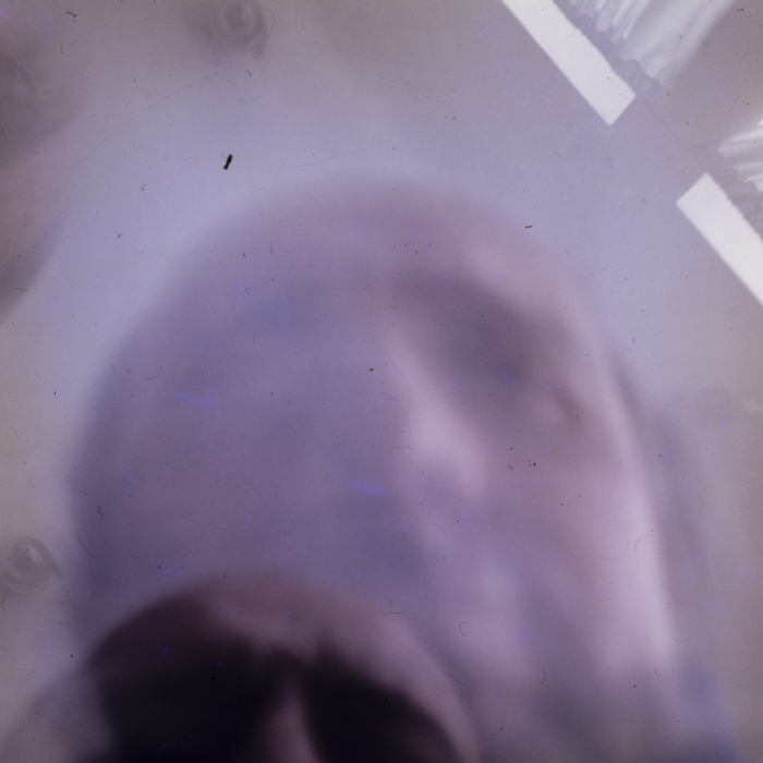 minerva_dn_1978_2369_reproduceri_014