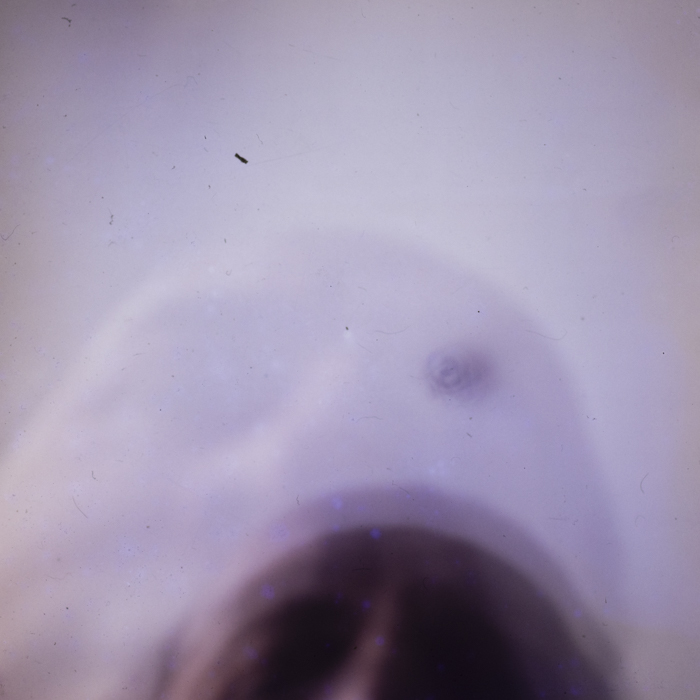 minerva_dn_1978_2369_reproduceri_015