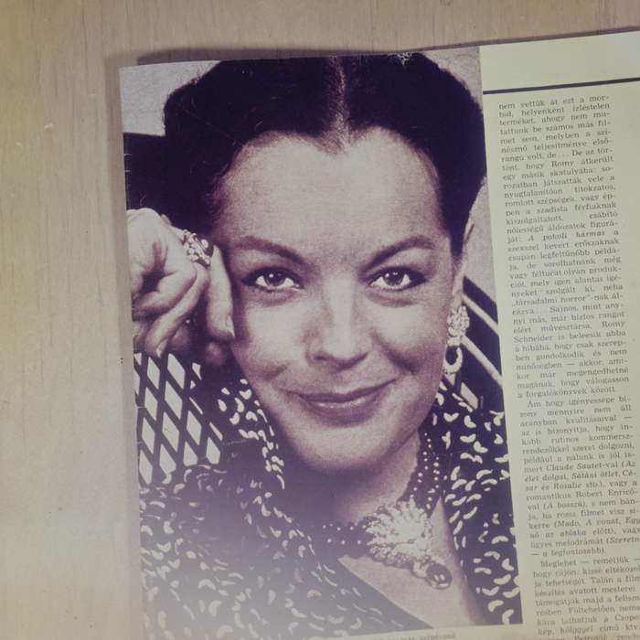 minerva_dn_1978_2380_reproduceri_003