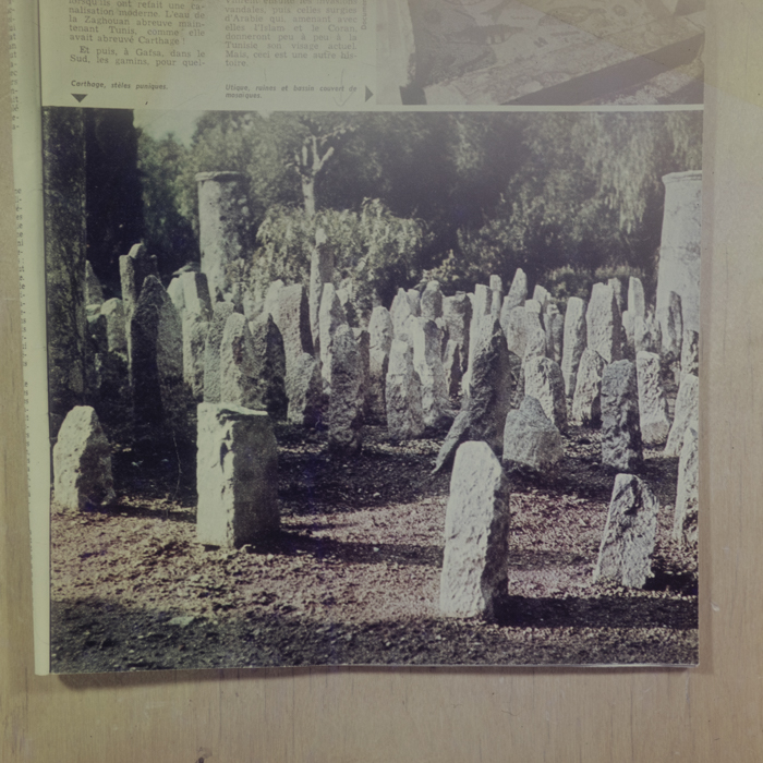 minerva_dn_1978_2380_reproduceri_004