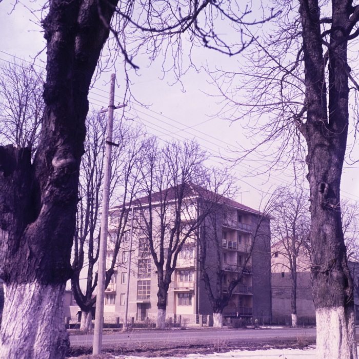 minerva_dn_1978__2300_comuna_faget_001