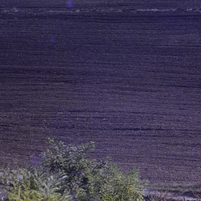 minerva_dn_1979_2273_c.a.p_suatu_005