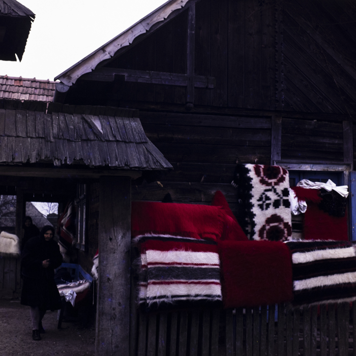 minerva_dn_1979_2371_pom_de_iarna_002