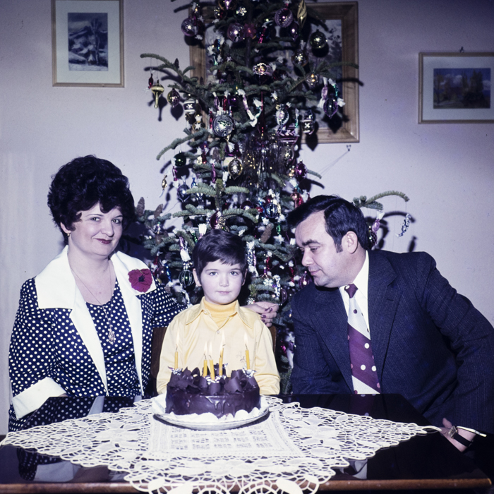 minerva_dn_1979_2371_pom_de_iarna_005