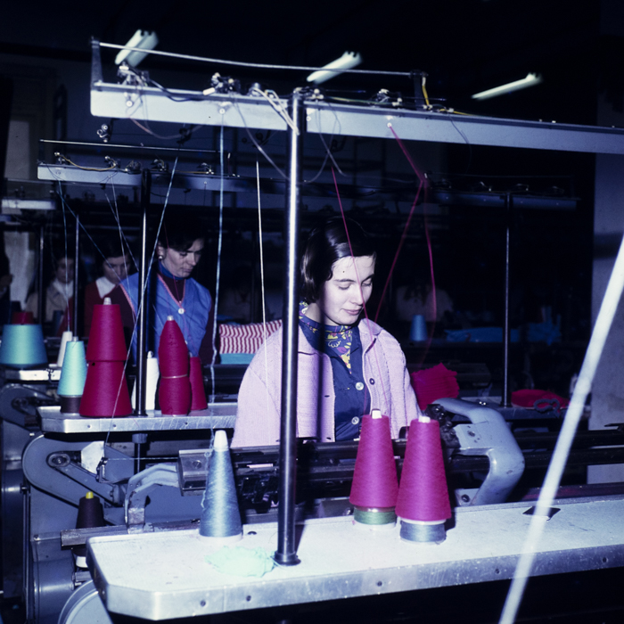 minerva_dn_1979_2372_006