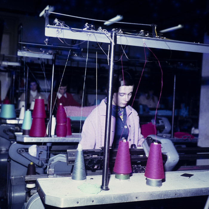 minerva_dn_1979_2372_007