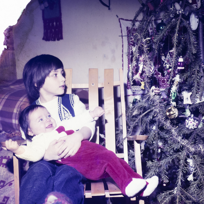 minerva_dn_1979_2373_familia_corbea_001