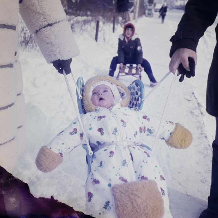 minerva_dn_1979_2373_familia_corbea_002