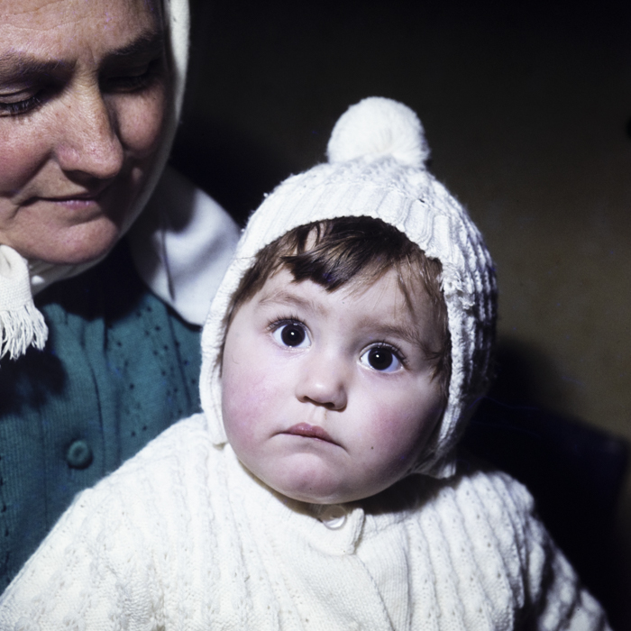 minerva_dn_1979_2379_cap_acatari_003