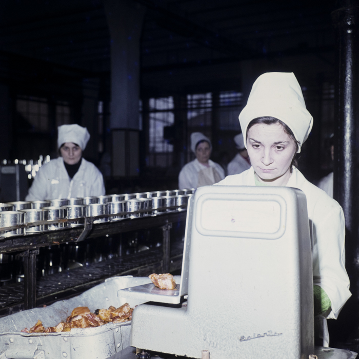 minerva_dn_1979_2380_fab_de_conserve_tg_mures_001