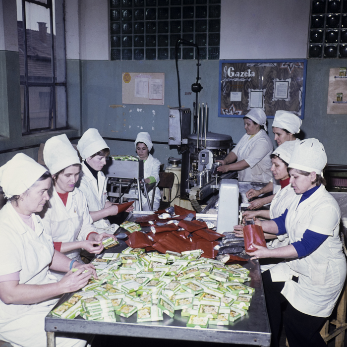 minerva_dn_1979_2380_fab_de_conserve_tg_mures_003