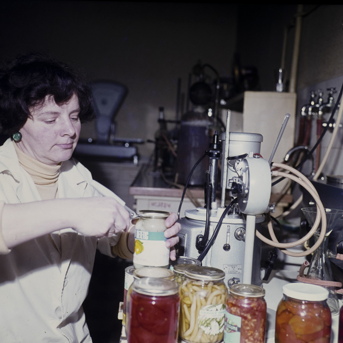 minerva_dn_1979_2380_fab_de_conserve_tg_mures_005