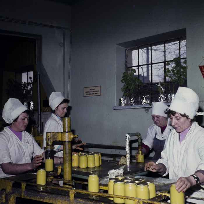 minerva_dn_1979_2380_fab_de_conserve_tg_mures_006