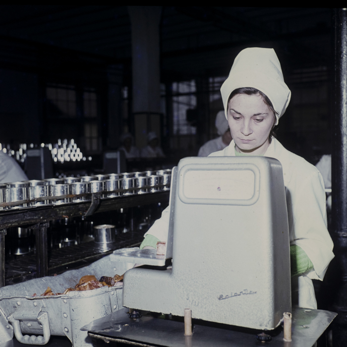 minerva_dn_1979_2380_fab_de_conserve_tg_mures_007