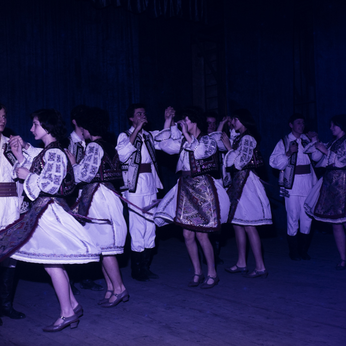 minerva_dn_1979_2387_cantarea_romaniei_timisoara_005