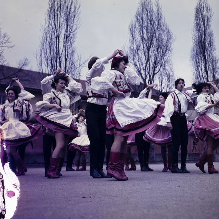 minerva_dn_1979_2389_cantarea_romaniei_oradea_002