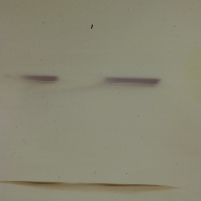 minerva_dn_1979_2396_odihna_012