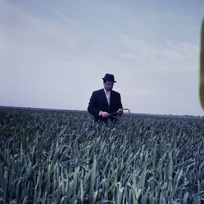 minerva_dn_1979_2399_scornicesti_006