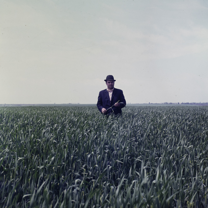 minerva_dn_1979_2399_scornicesti_007