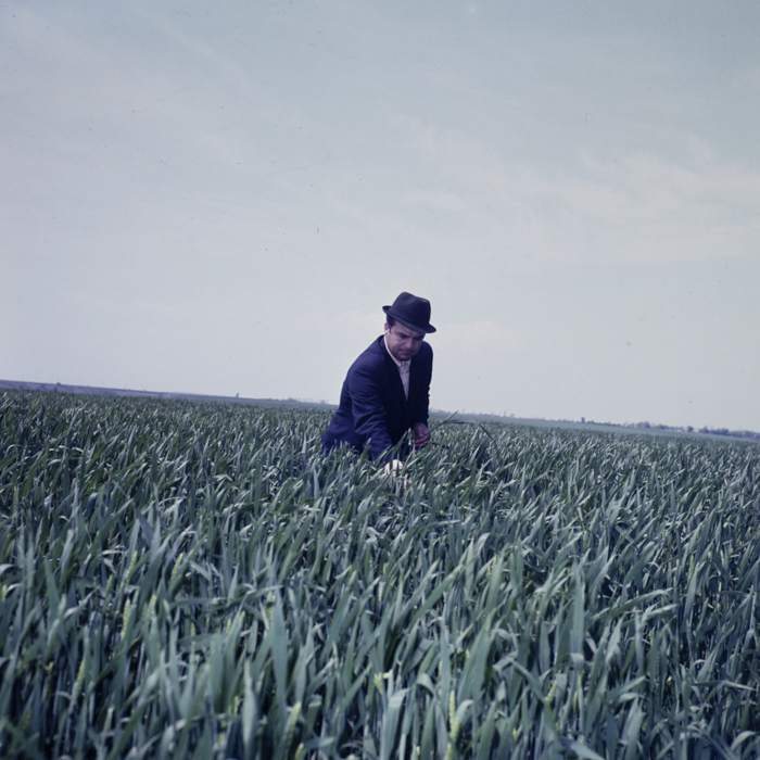 minerva_dn_1979_2399_scornicesti_008