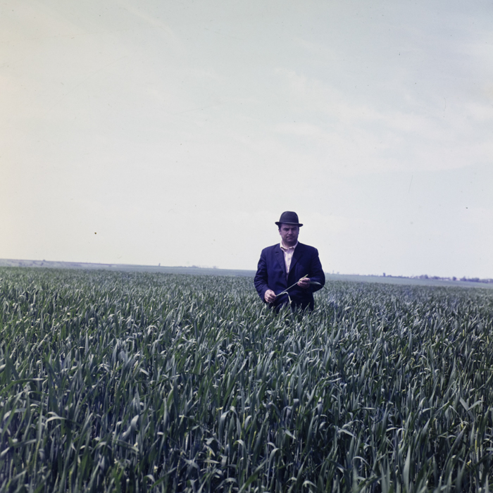 minerva_dn_1979_2399_scornicesti_009