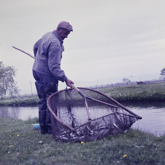 minerva_dn_1979_2404_prejmer_002