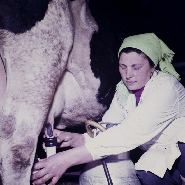 minerva_dn_1979_2404_prejmer_006