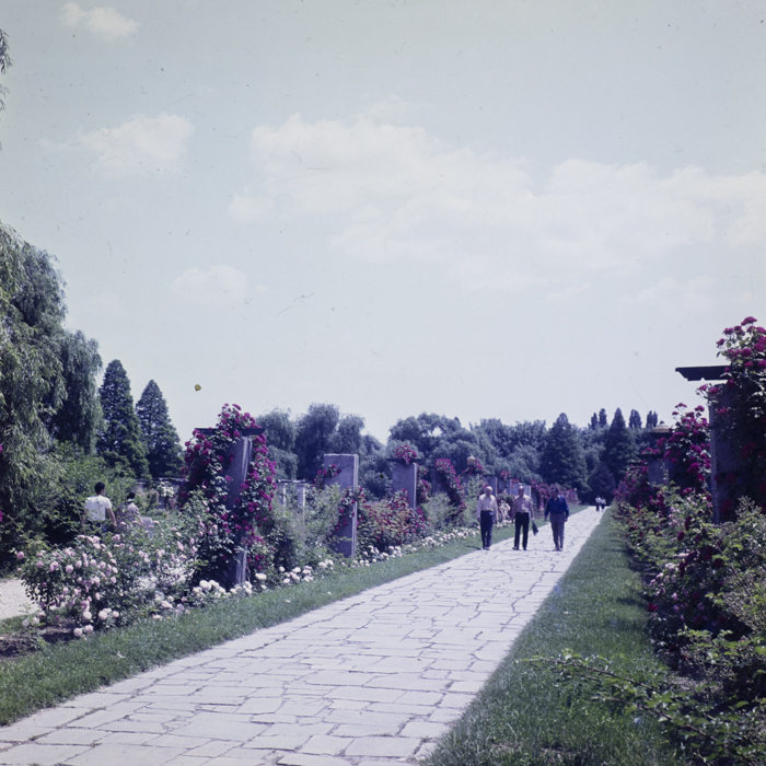 minerva_dn_1979_2409_aspecte_bucuresti_001