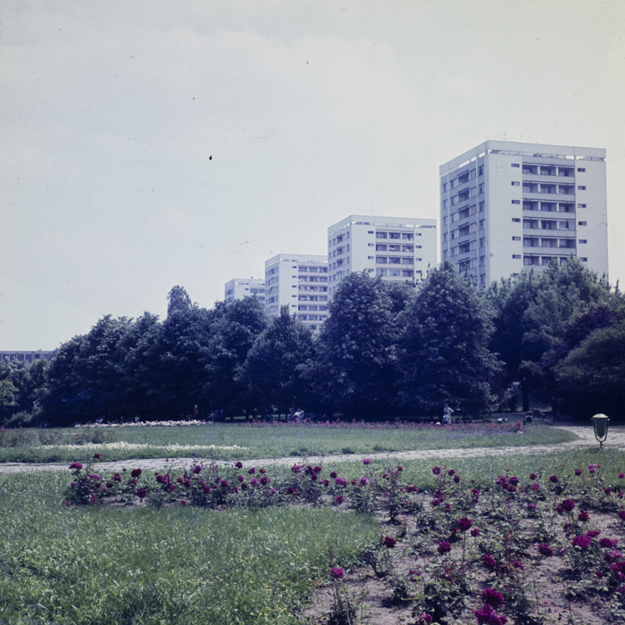 minerva_dn_1979_2409_aspecte_bucuresti_002