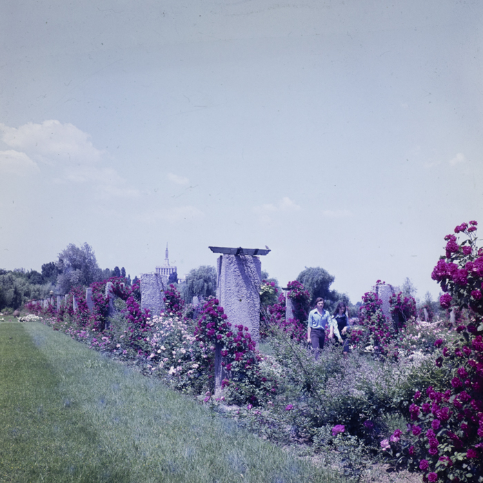 minerva_dn_1979_2409_aspecte_bucuresti_003