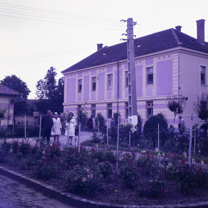 minerva_dn_1979_2413_comuna_croana_salaj_005