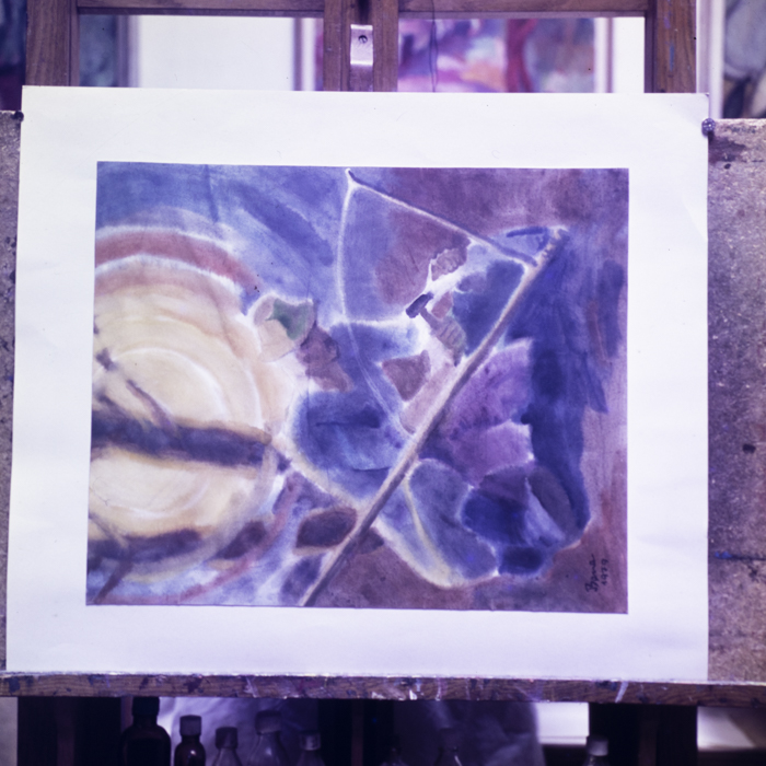 minerva_dn_1979_2415_reproduceri_bune_004