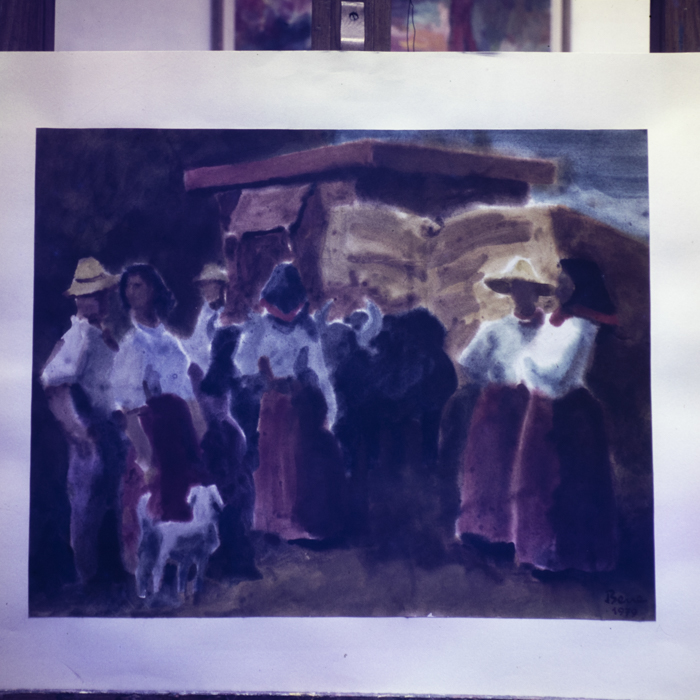 minerva_dn_1979_2415_reproduceri_bune_005