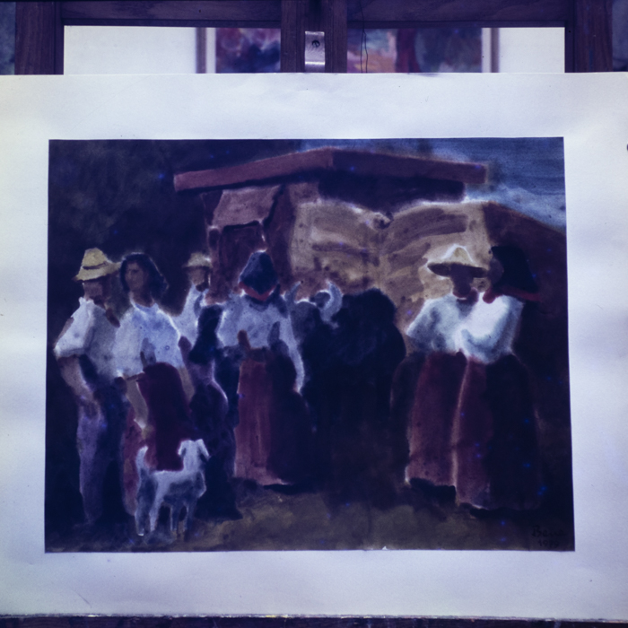 minerva_dn_1979_2415_reproduceri_bune_006