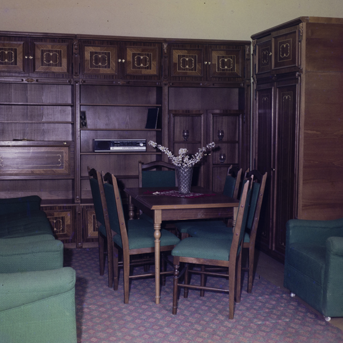 minerva_dn_1979_2417_copil_cu_jucarii_istvan_004