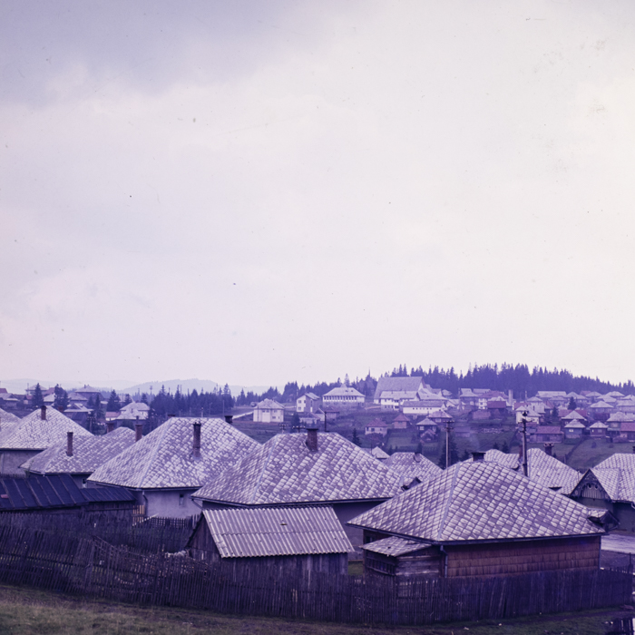 minerva_dn_1979_2418_aspecte_de_la_gaina_001