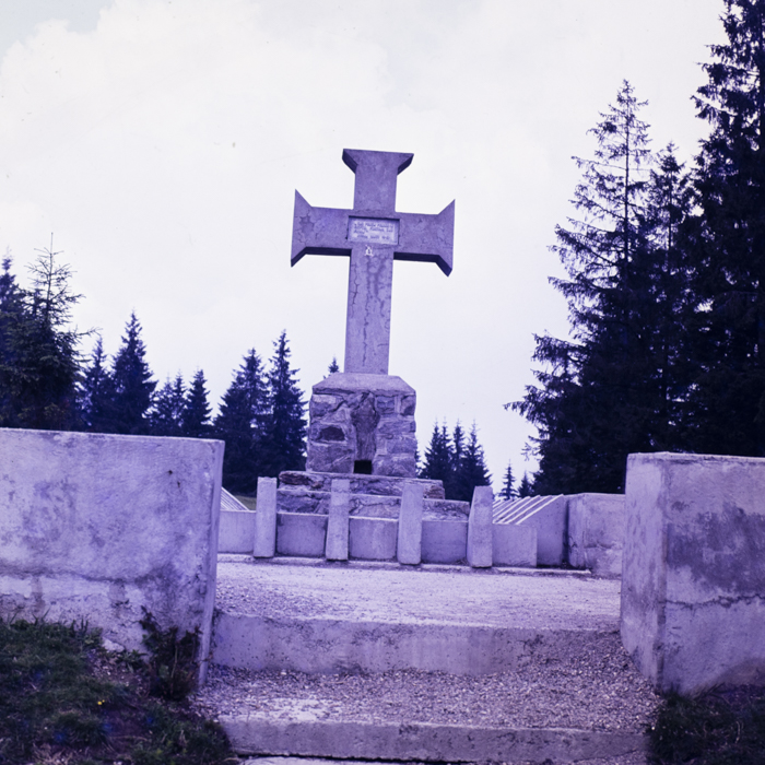 minerva_dn_1979_2418_aspecte_de_la_gaina_002