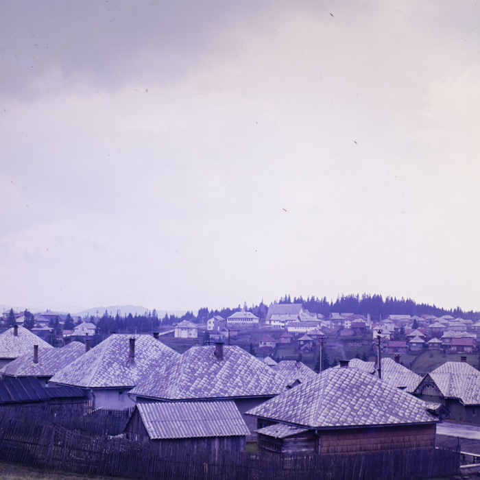 minerva_dn_1979_2418_aspecte_de_la_gaina_003