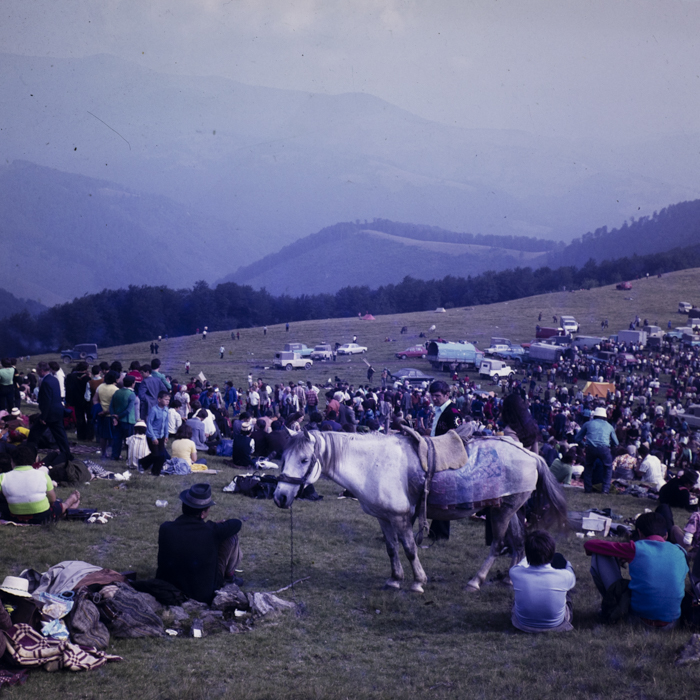 minerva_dn_1979_2422_aspecte_de_munte_gaina_dragan_001