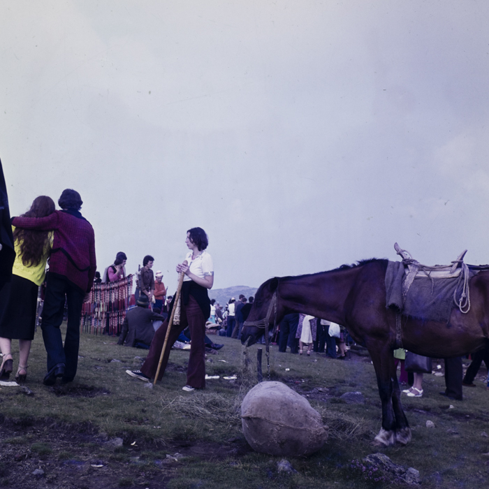 minerva_dn_1979_2422_aspecte_de_munte_gaina_dragan_002