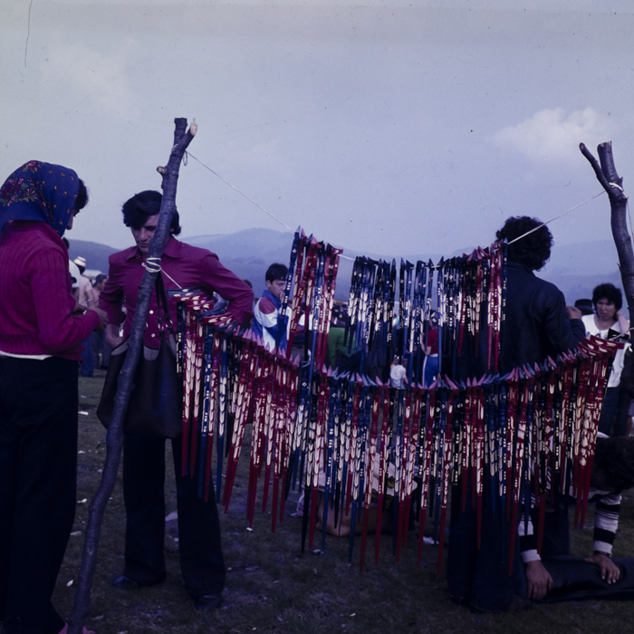 minerva_dn_1979_2422_aspecte_de_munte_gaina_dragan_003