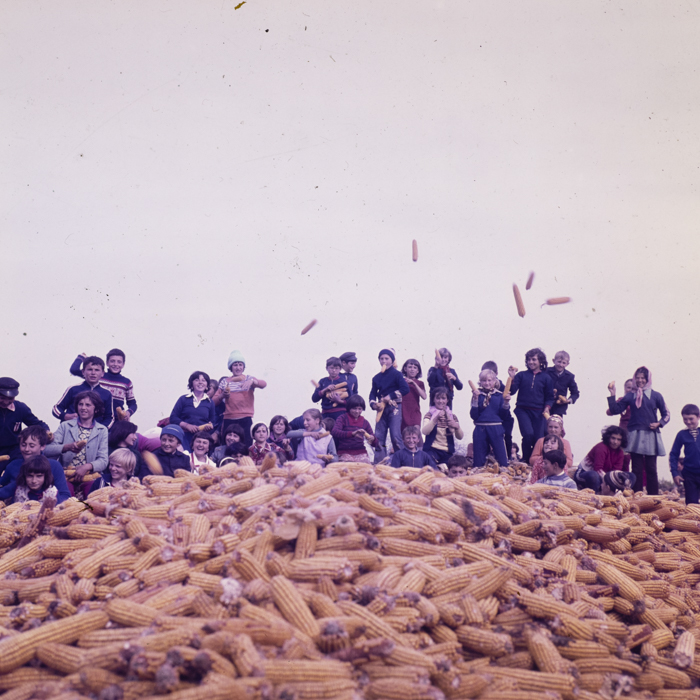minerva_dn_1979_2431_agricultura_remetea_007