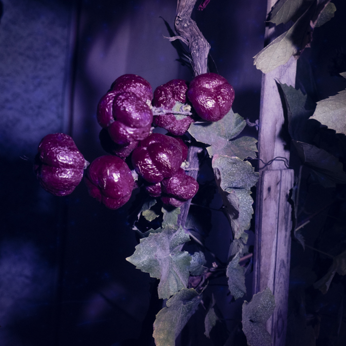 minerva_dn_1979_2434_c_a_p_mailat_c_a_p_jud_arad_003