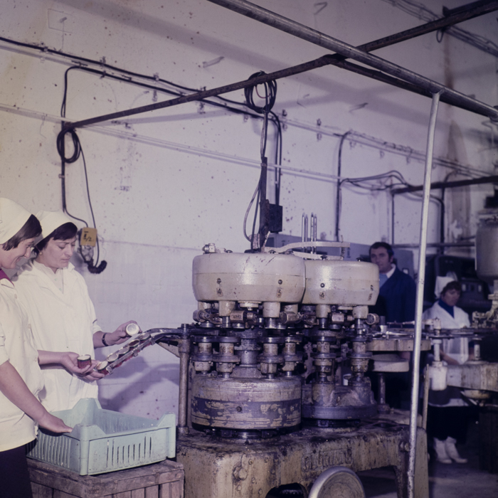 minerva_dn_1979_2437_valea_lui_mihai_001